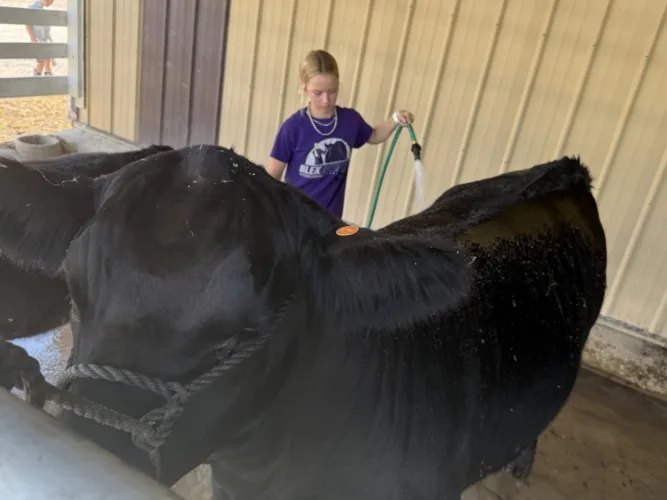 Heat wave greets 2026 Webster County Fair
